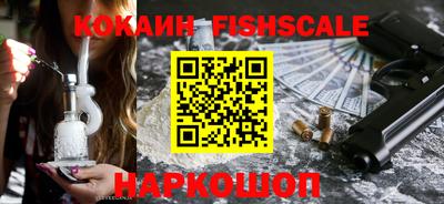 a pvp Камышлов