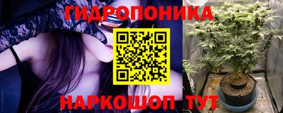 a pvp Камышлов