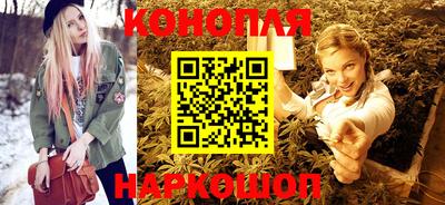 a pvp Камышлов