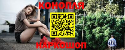 крисы Кандалакша