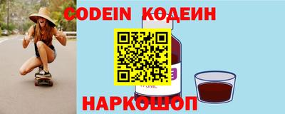 a pvp Камышлов